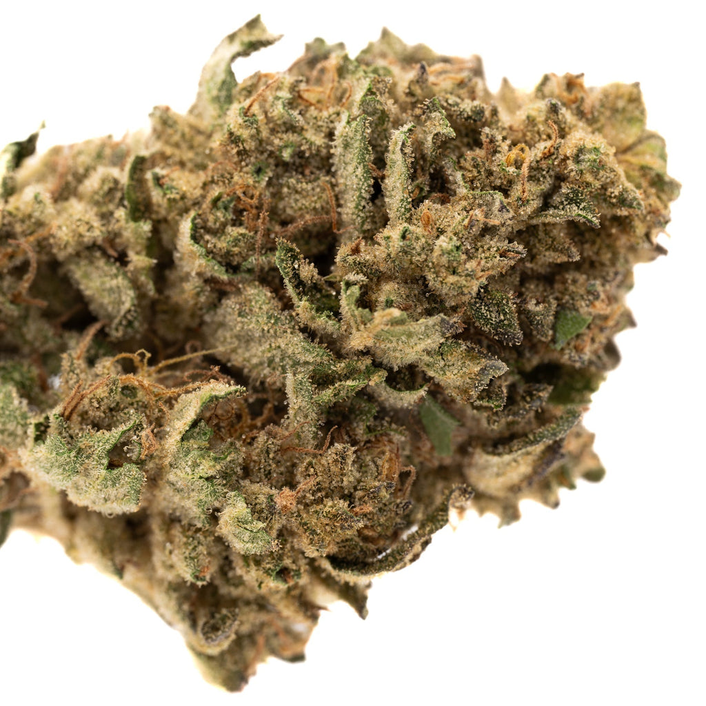 Nascar THCa Hemp Flower Greenhouse - Plants