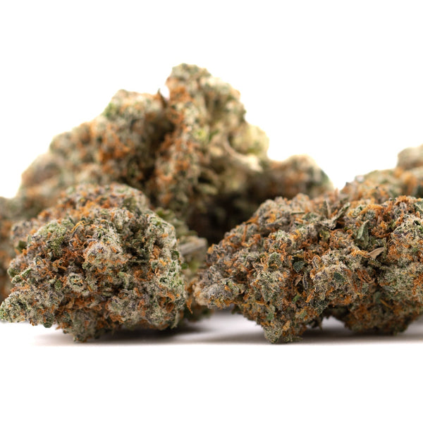 Premium Nectarine Jelly THCa Flower Bud with Dense Trichomes