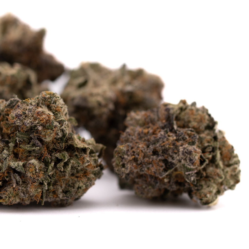 Dried Peach Tree THCa indoor hemp flower buds with trichomes and orange hairs