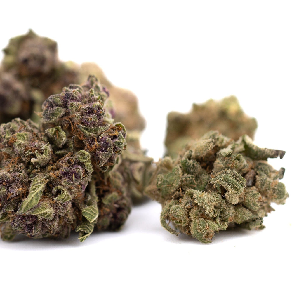 Purple-hued Cannabis buds in Pineapple Express Indoor THCa Flower Smalls