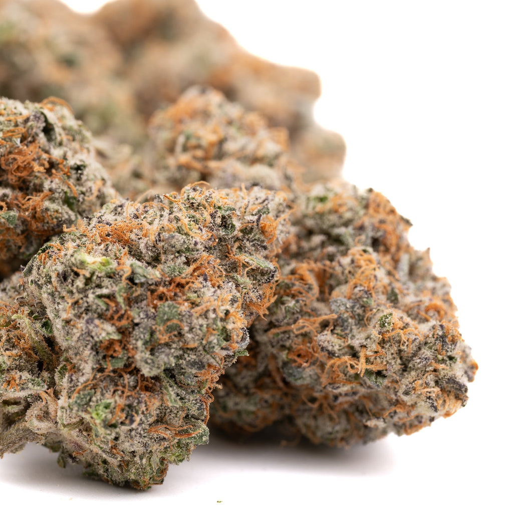 Pink Panties Indoor THCa Flower - Plants