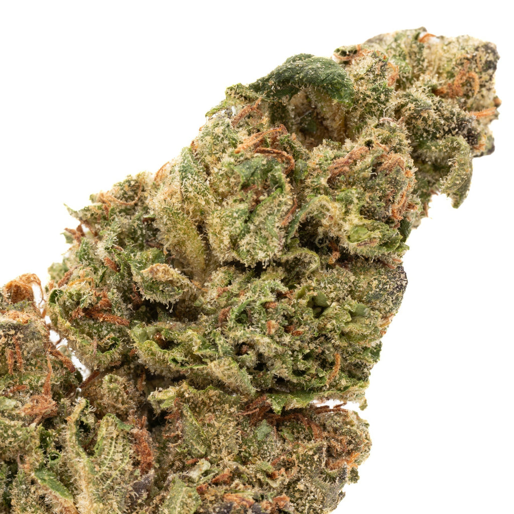 Point Break THCa Hemp Flower Greenhouse - Plants