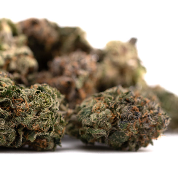 Dried THCA flower with visible trichomes and orange hairs from Pressure #2 Indoor THCA Flower Wholesale