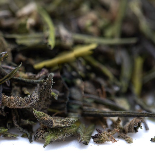 Premium Greenhouse Purple Marmalade THCa Trim: Curled Green Tea Leaves