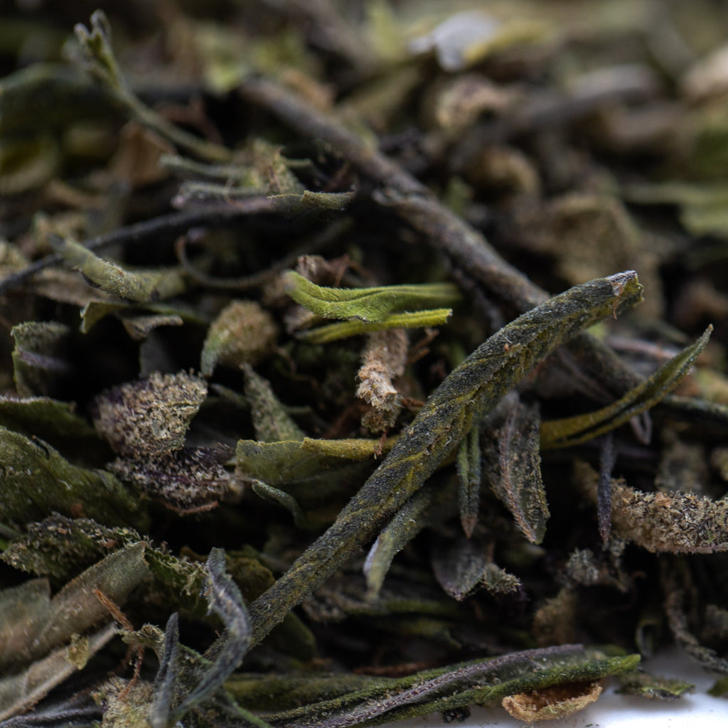 Premium Greenhouse Purple Marmalade THCa Trim: Dried Green Tea Leaves