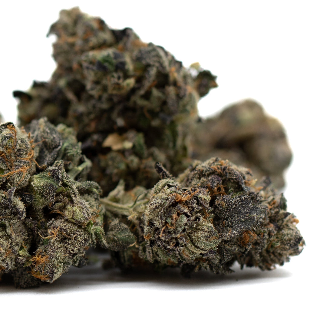 Dense purple Wedding Cake cannabis buds showcasing rich hues and high-quality THCa Flower