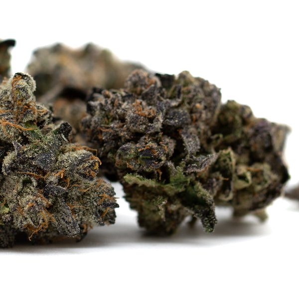 Purple Wedding Cake Indoor THCa Flower with dense trichomes and vibrant purple hues