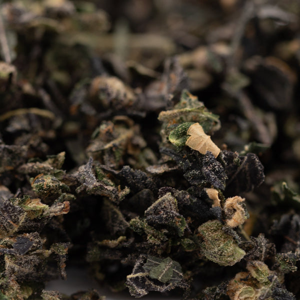 Loose dark and greenish tea leaves from Purple Wedding Cake Indoor Trim Wholesale 1LB