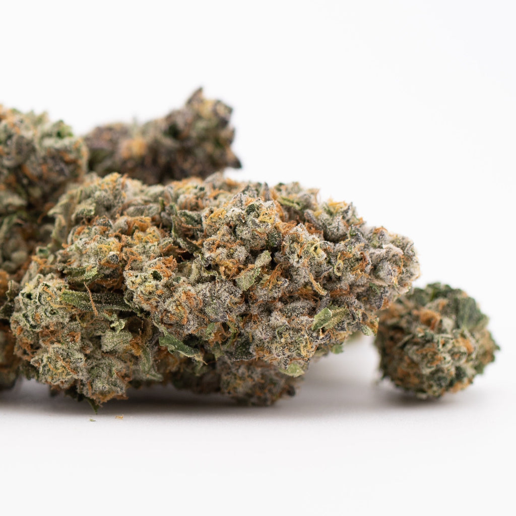 Premium Rozay Cake THCa flower: vibrant purple-green bud with dense trichomes
