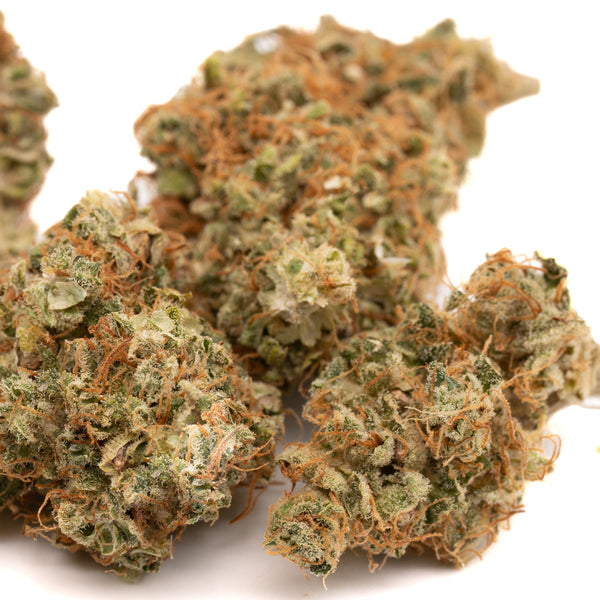 Dried Sour Brûlée CBD Hemp Flower Full-Term with orange hairs and trichomes