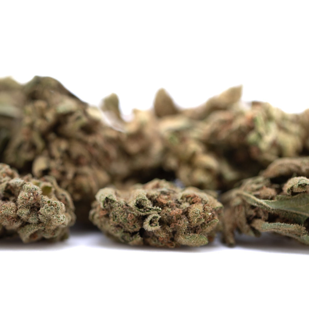 Sour Diesel THCa flower smalls with green and brown buds, legendary genetics