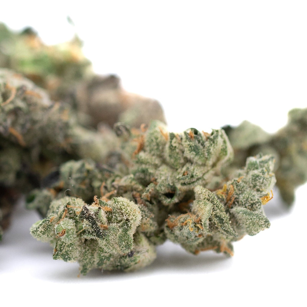 Dense Sour Garlic Cookies buds with orange hairs showcasing vibrant THCa Flower Smalls