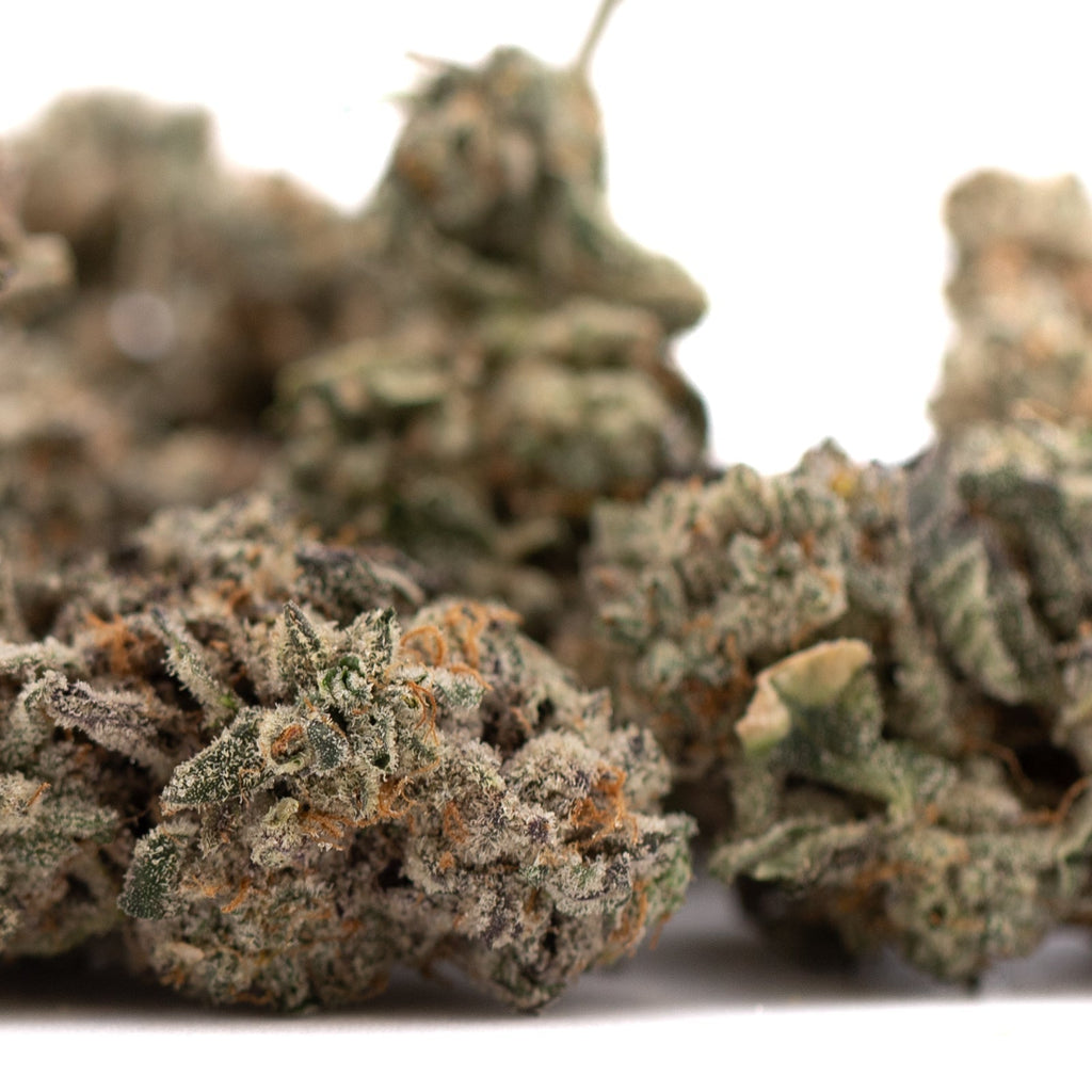 Dried Street Tarts Indoor THCa Flower with trichomes and orange hairs on hemp flower