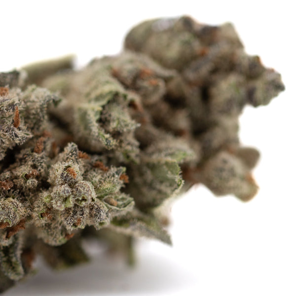 Premium Top Gun THCa Flower: Dense trichomes, vibrant green hemp bud