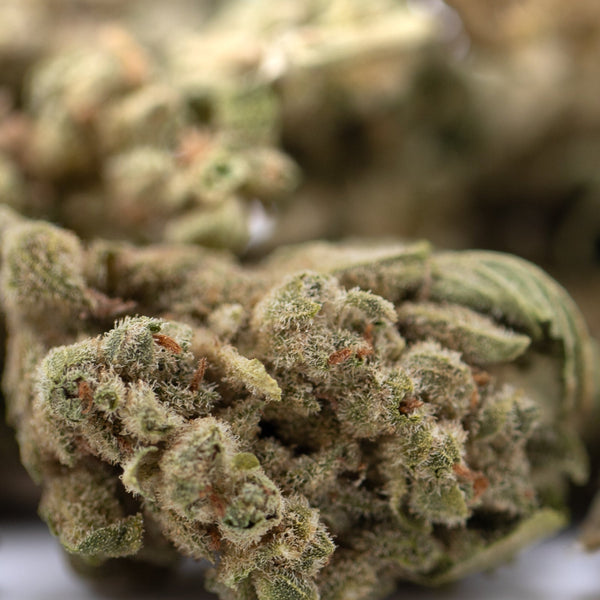 Premium TriCross THCa smalls: green bud with white trichomes, red veins