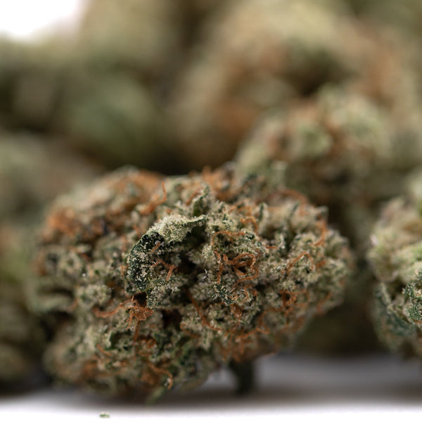 Premium indoor Tropical Punch THCa Flower Smalls, high-quality hemp flower buds