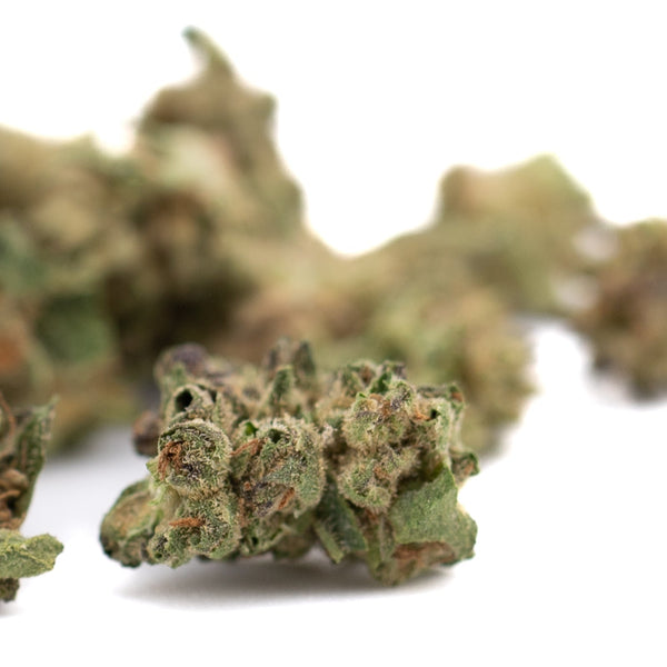 Dried White Runtz THCa Hemp Flower with Visible Trichomes for Wholesale Smalls