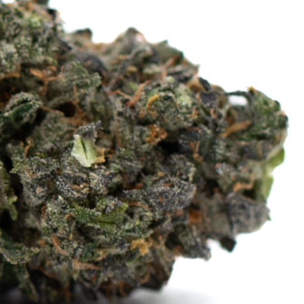 Dense cannabis bud of Zkittlez Indoor THCa Flower showcasing vibrant Orchard Swirl hues